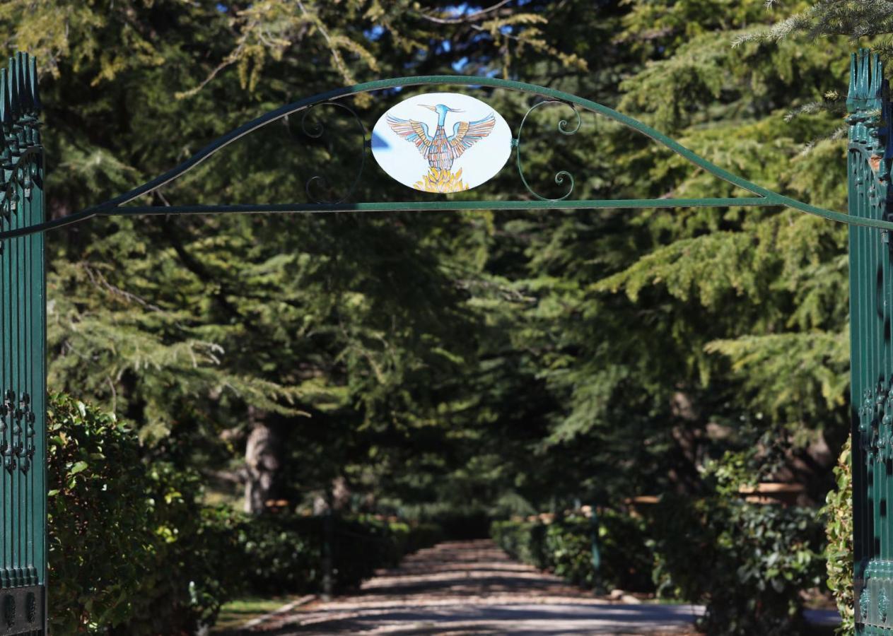 Villa Fenicia Руво-ді-Пулья Екстер'єр фото